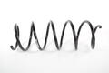 Alfa Romeo  Springs. Part Number 50520145