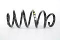 Alfa Romeo  Springs. Part Number 50539300