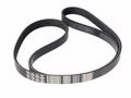 Alfa Romeo  Auxiliary Belt. Part Number 51824327