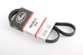 Alfa Romeo Brera Spider Auxiliary Belt. Part Number 55188139