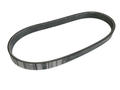 Alfa Romeo  Auxiliary Belt. Part Number 55193361