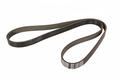 Alfa Romeo  Auxiliary Belt. Part Number 55202621