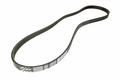 Alfa Romeo  Auxiliary Belt. Part Number 55230394