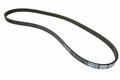 Alfa Romeo  Auxiliary Belt. Part Number 55240004