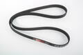 Alfa Romeo  Auxiliary Belt. Part Number 55245947