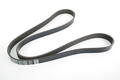 Alfa Romeo  Auxiliary Belt. Part Number 46354610