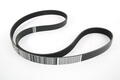 Alfa Romeo  Auxiliary Belt. Part Number 46354610