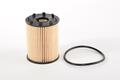 Alfa Romeo  Oil Filter. Part Number 6000633302