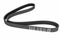 Alfa Romeo  Auxiliary Belt. Part Number 60596949