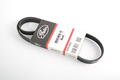 Alfa Romeo 155 Auxiliary Belt. Part Number 60596949