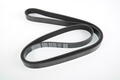 Alfa Romeo  Auxiliary Belt. Part Number 670051258