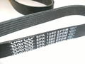 Alfa Romeo  Auxiliary Belt. Part Number 55193360