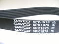 Alfa Romeo  Auxiliary Belt. Part Number 71753673