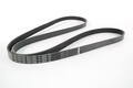 Alfa Romeo  Auxiliary Belt. Part Number 71753674